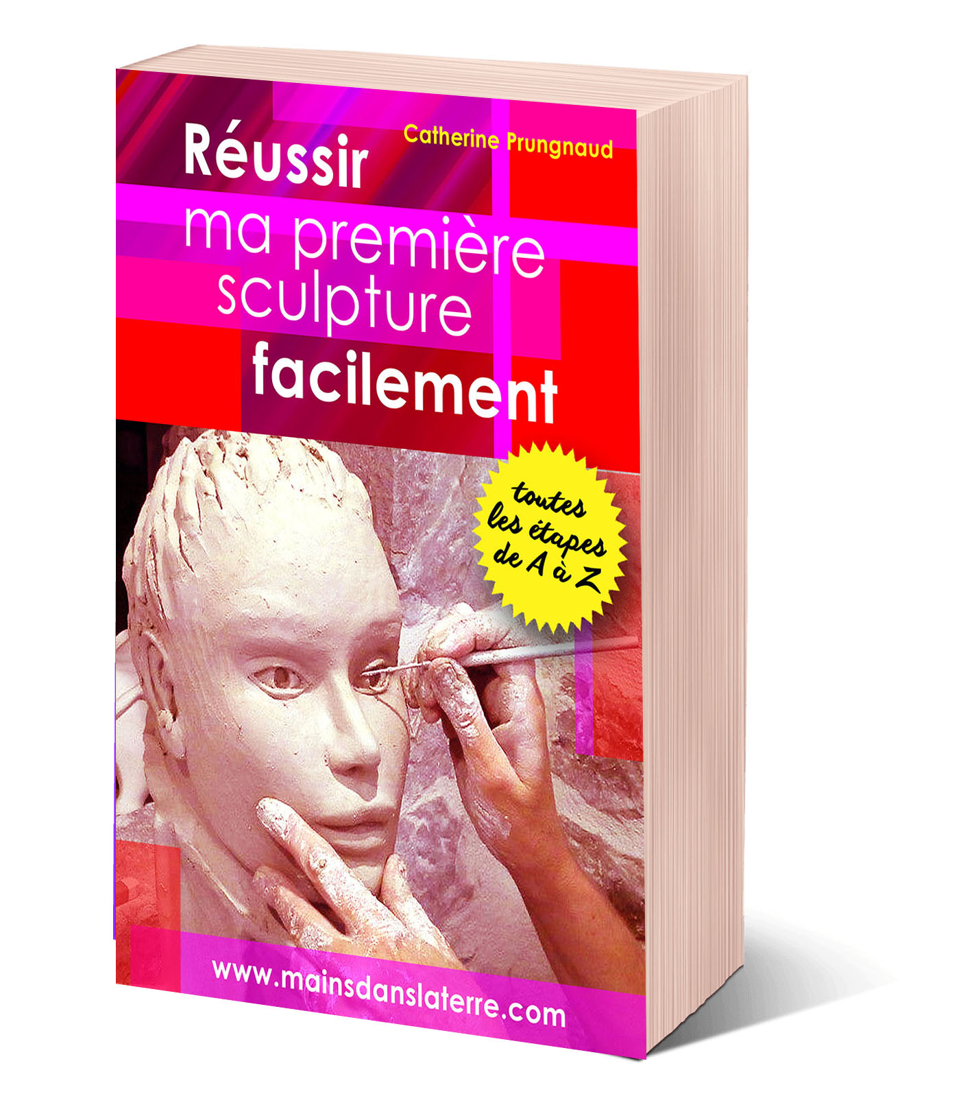 livre réussir ma première sculpture facilement