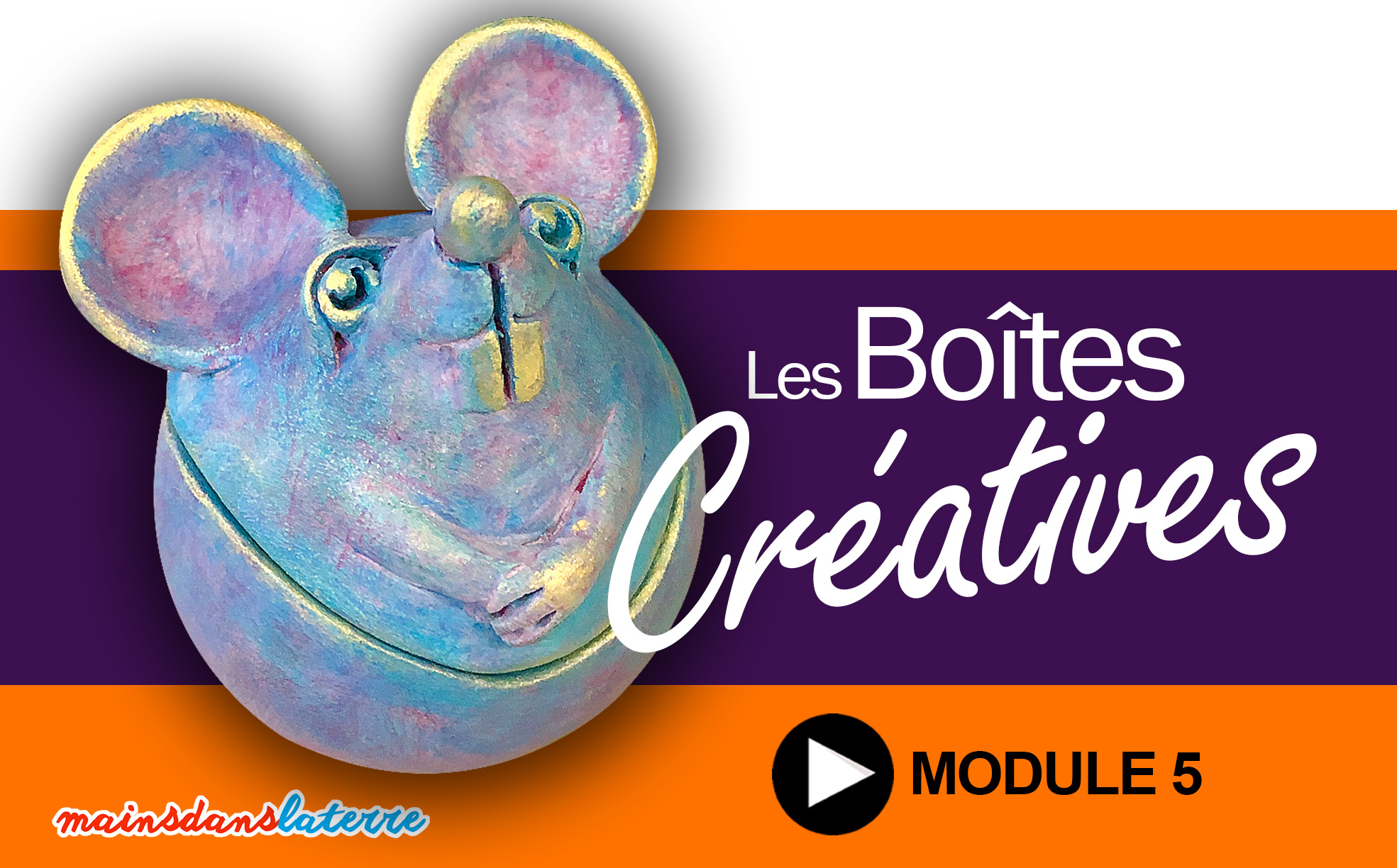 infographie pdv souris