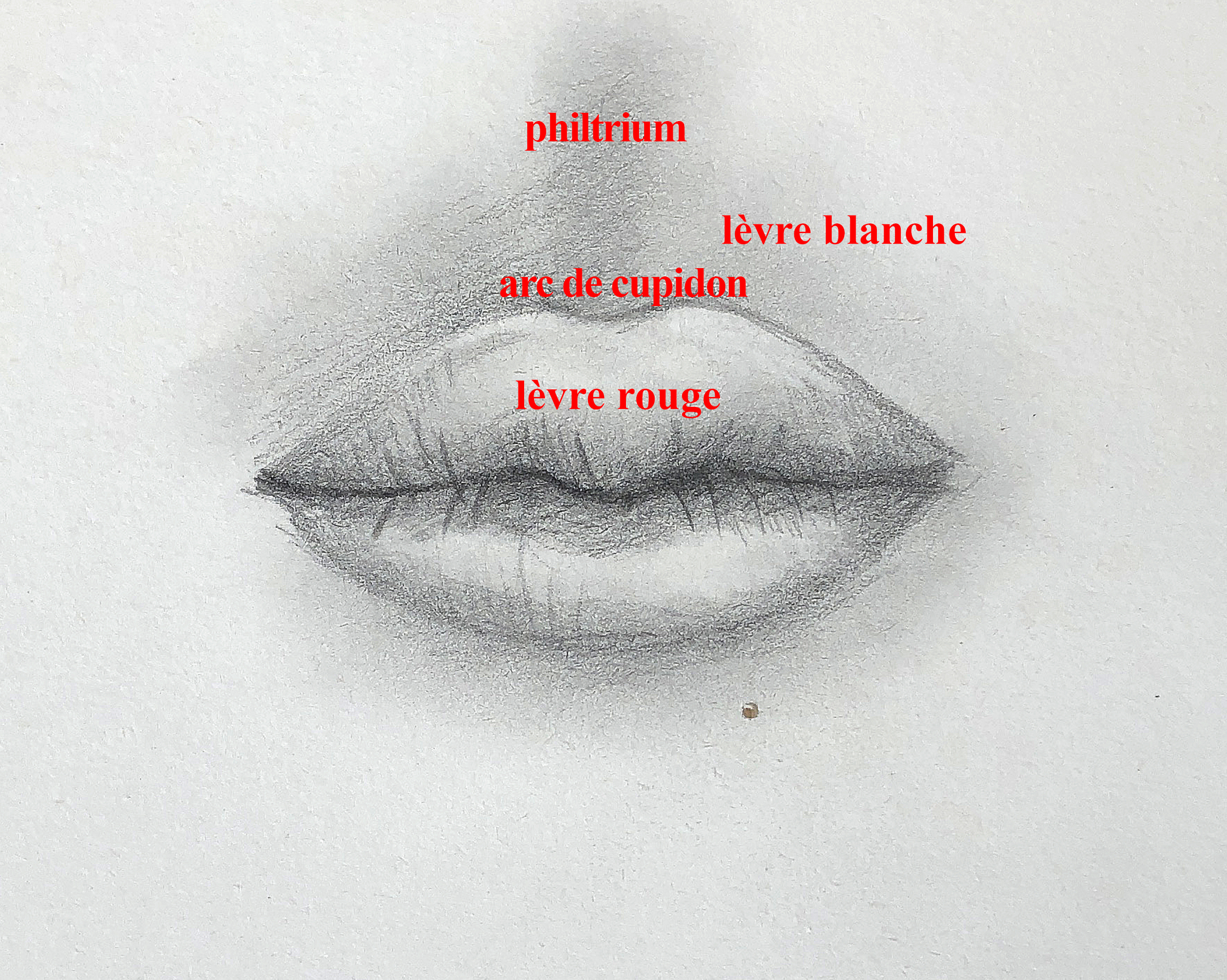 bouche