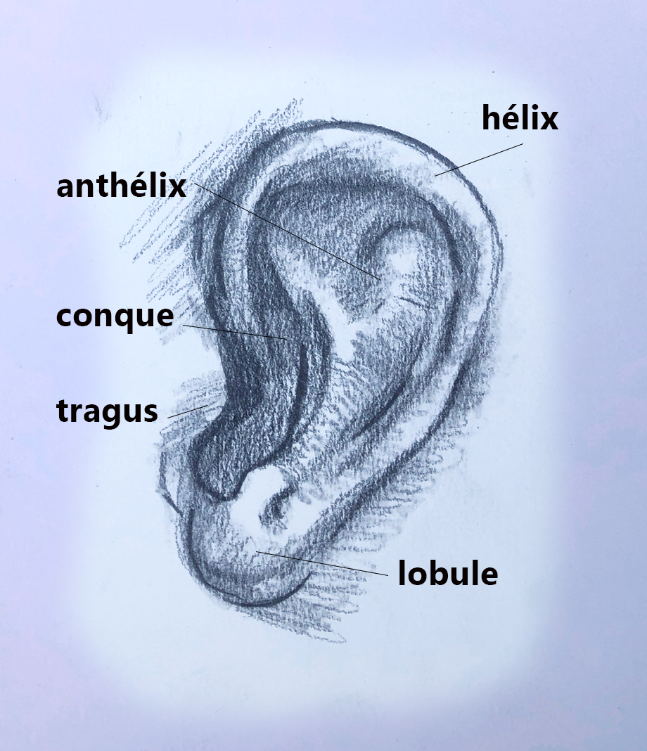 oreille 3