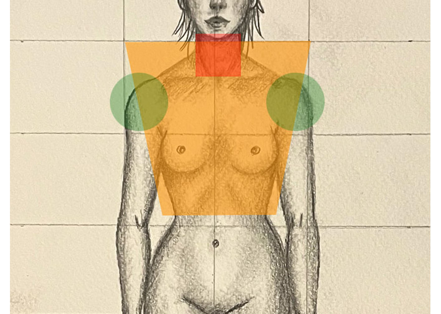 dessin torse PDV 2